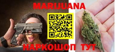 сатива Новокубанск