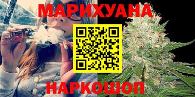 сатива Новокубанск