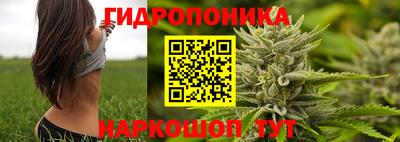сатива Новокубанск
