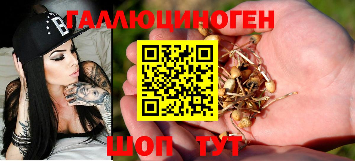 Псилоцибиновые грибы MAGIC MUSHROOMS Шадринск
